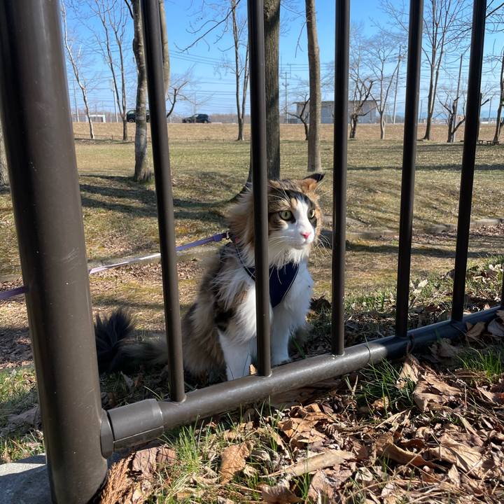 946c611b ebf2 4748 8cf3 aabe44e6f1d3 1680329297924