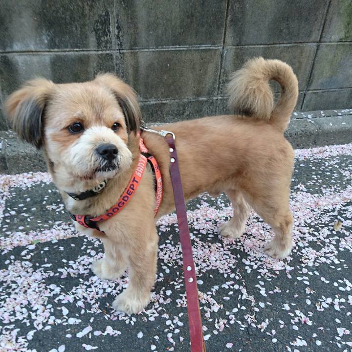 946c8a46 3356 49fe 86fe 195d4df0d03d 1522707233495