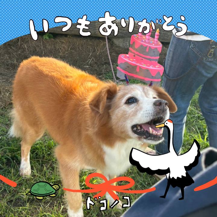 946cc11a d378 46d9 adf9 fc040f9ed2e1 1727232402798
