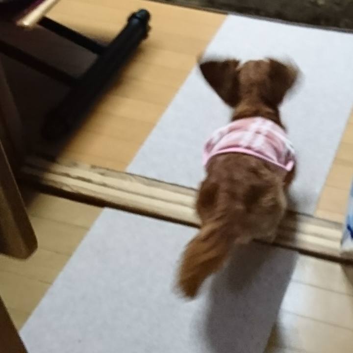 946cc30f c876 4620 b918 c147cab53ac8 1513409607328