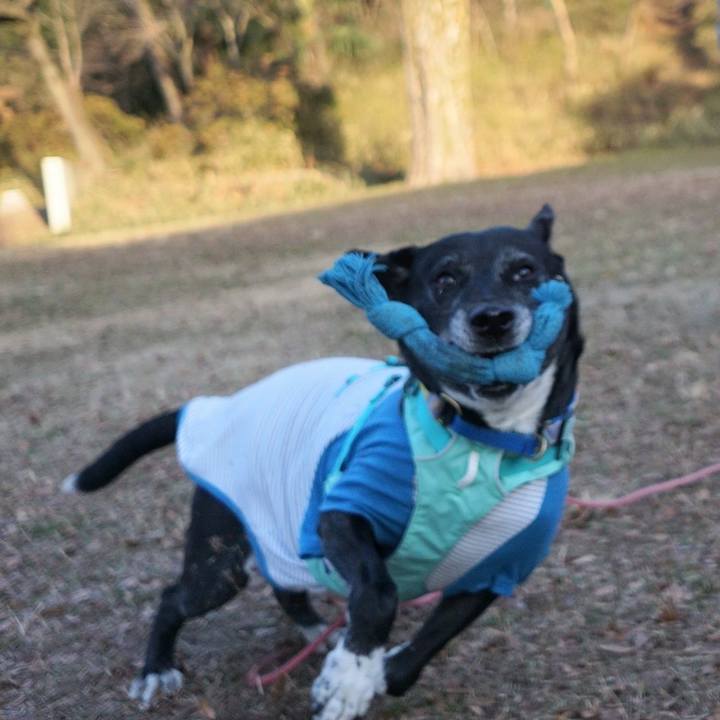 946ce8fa 9e1b 4314 b292 b565ce8bed15 1769387668867