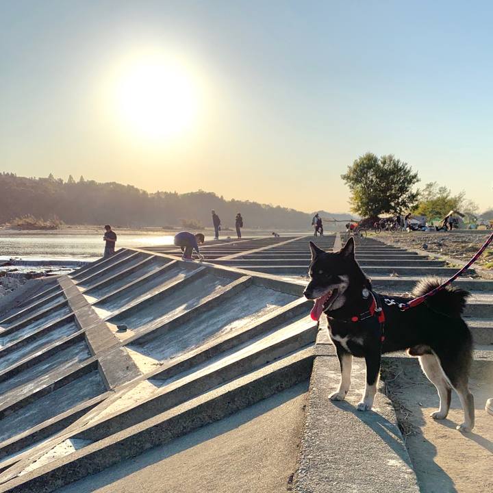 946d23ce d477 49aa a6b0 f77cc057c49a 1573915286676