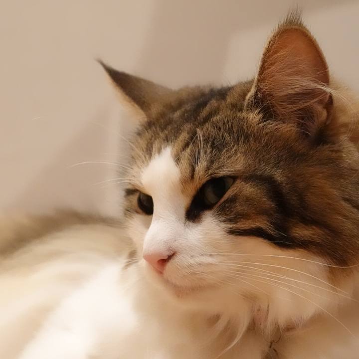 946db3ca 59d6 4dd3 8c21 154d23310d7a 1567688262899