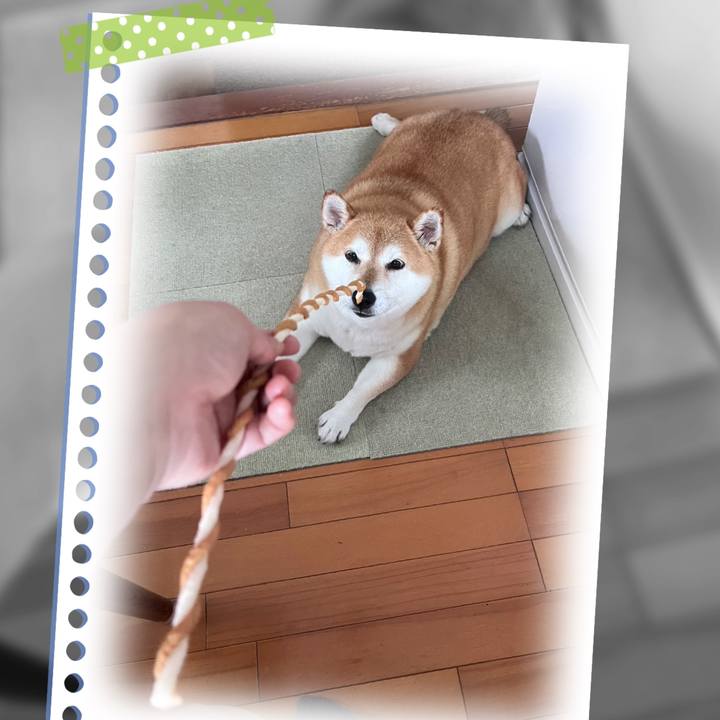 946dc899 e50d 4791 9d07 e0eac08adf66 1687506190269