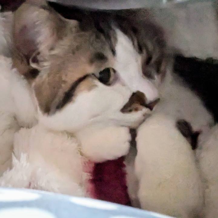 946dd555 df34 49f4 84f1 f6d8802e60c6 1735860758978