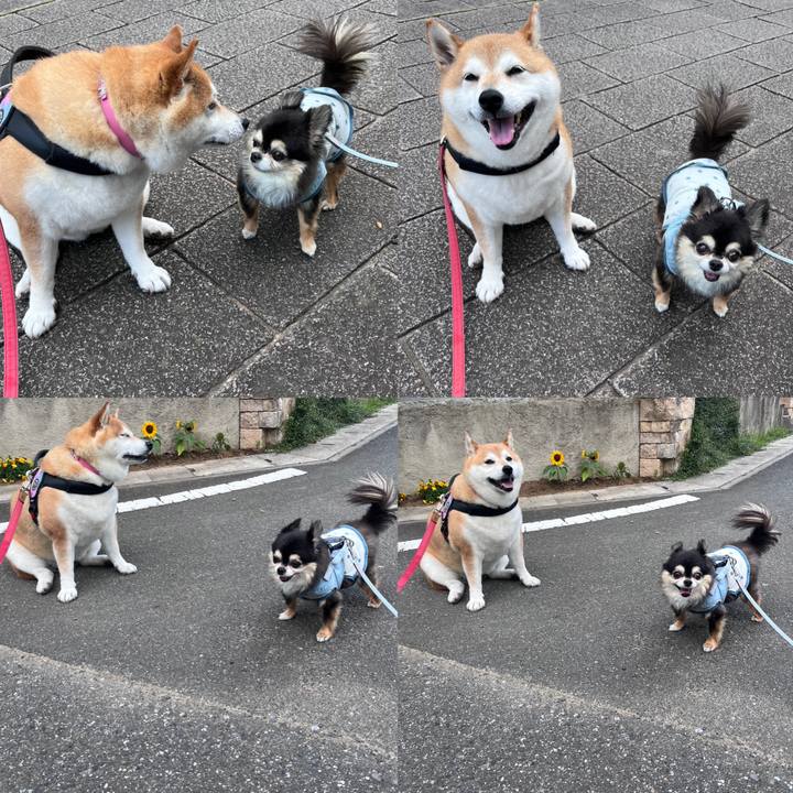 946df555 1570 4f12 805e 2aafcd936a24 1686653650895