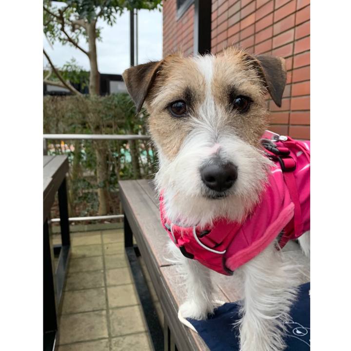 946e0ee4 e852 4411 a41c a974710422df 1580119687975