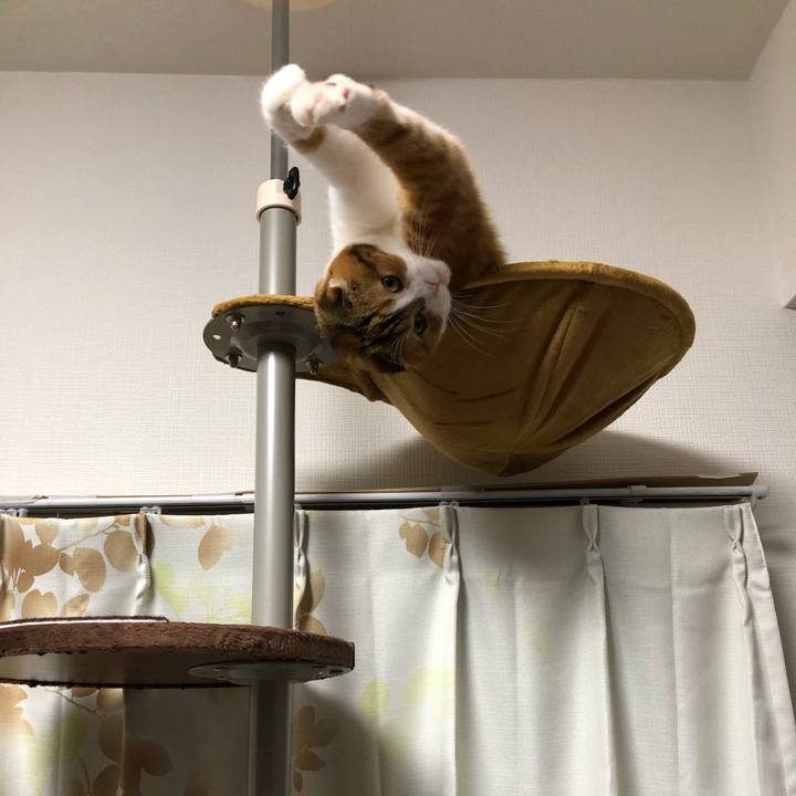 946e3180 79a3 41d5 990e cadb7e93b1da 1529153702398