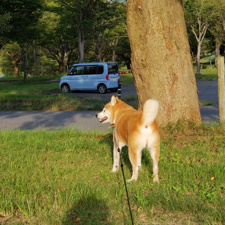 946e3858 acd1 4bdd ae0f f466f87f6830 1631260364694