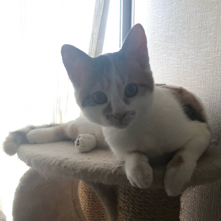 946e4ea7 2eee 4db9 b6a9 093832adff25 1569368048246