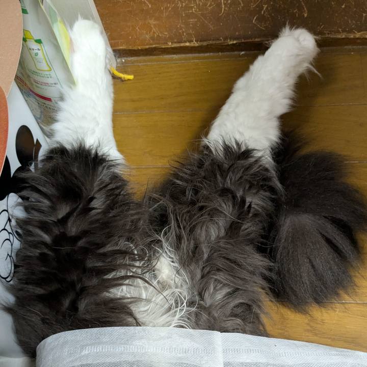 946e6527 9690 40ec 8bc2 c57212e21cd4 1761014811525