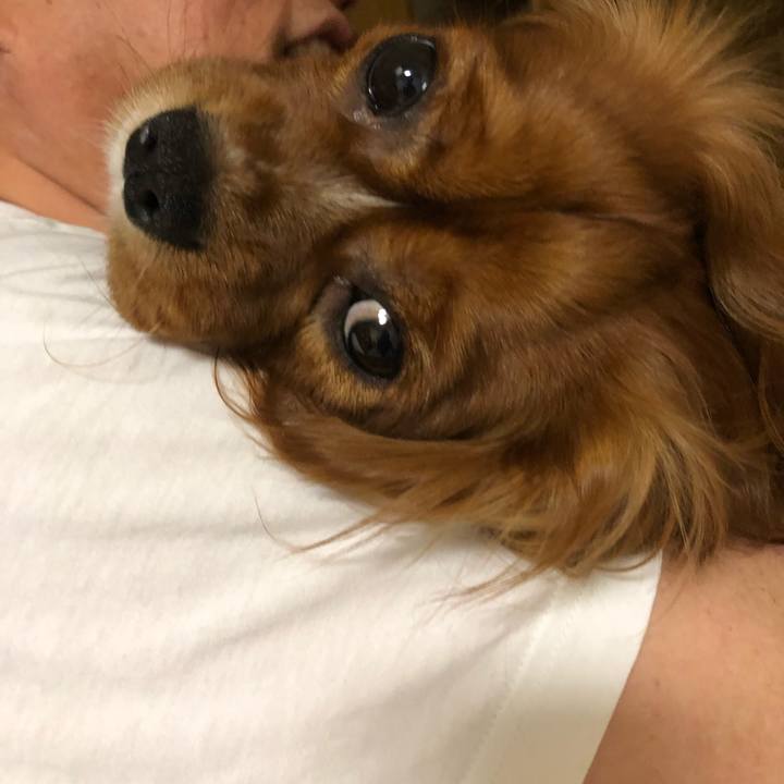 946e7543 1252 4a8f b264 894e6df18f2c 1526392922980