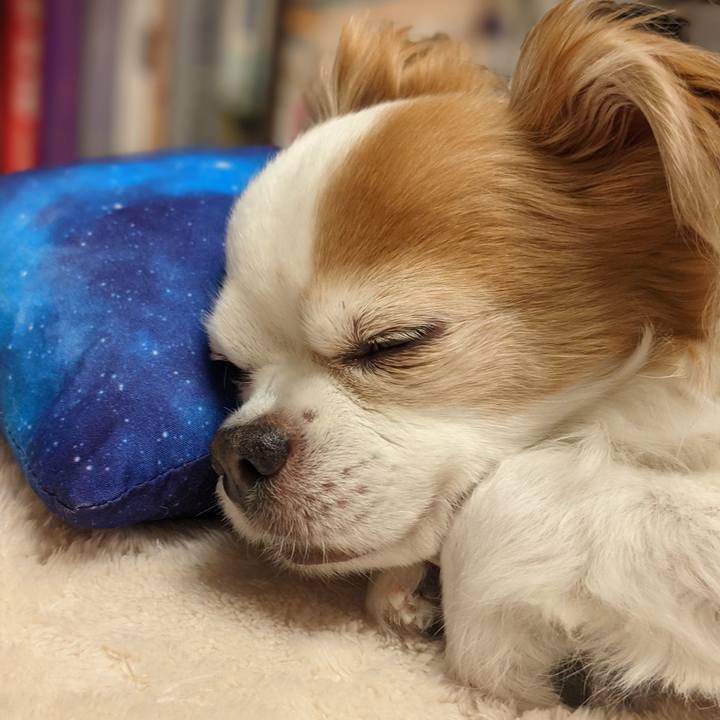 946e7a69 8051 4e5f 9d2e 92f622495f01 1615589947179