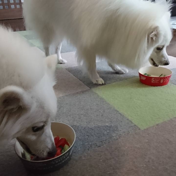 946ec2f9 bf88 4ef7 8881 6b030ba409be 1589332173753