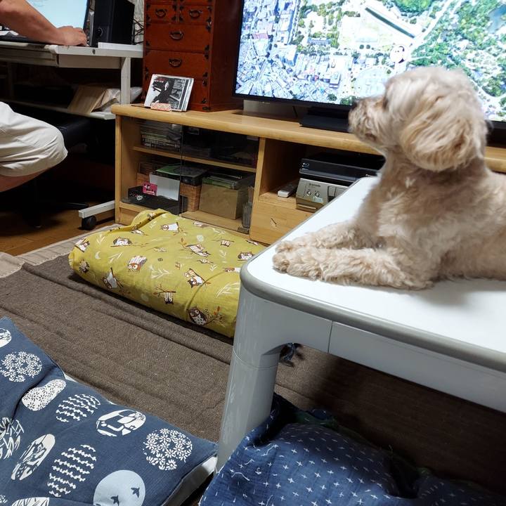 946eca53 dbe9 4dc3 a3f1 5cacb22c18cb 1626519619063