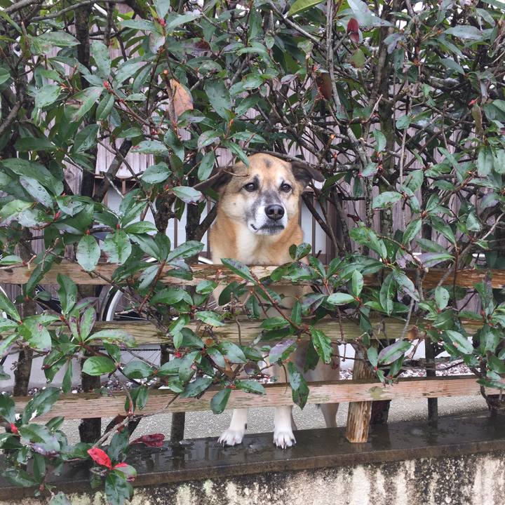 946ede00 4734 4e92 8391 6c79b6e310e4 1515031268372