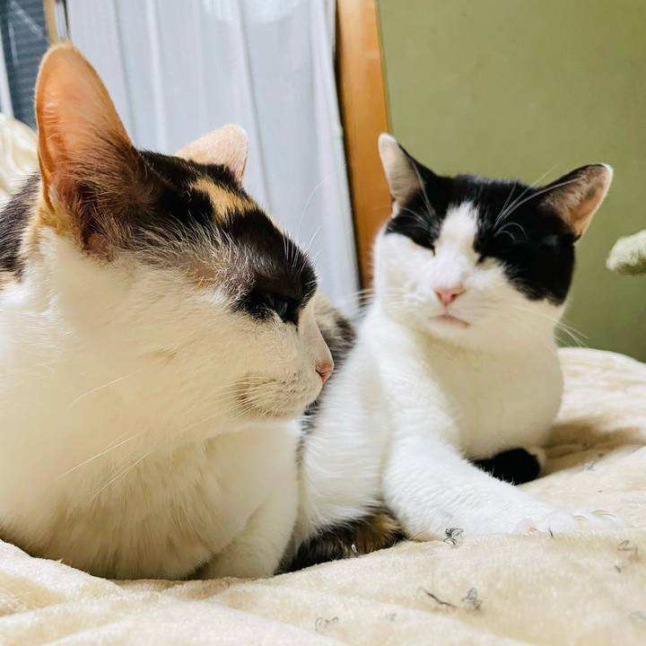 946ee406 7f70 4d12 89f0 02127f4a26d2 1647396674172