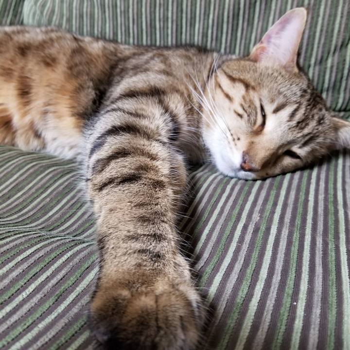 946ee7d7 4dde 4517 8a6e ba1debe92b33 1609772946687