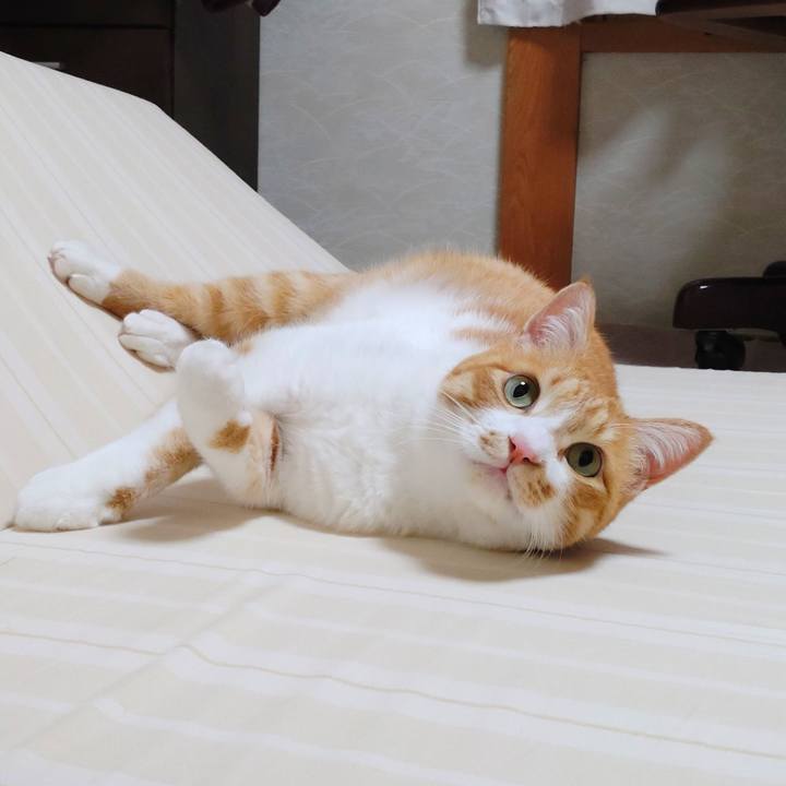 946eef83 d901 478a 9aa6 72583860ab4b 1776641277292