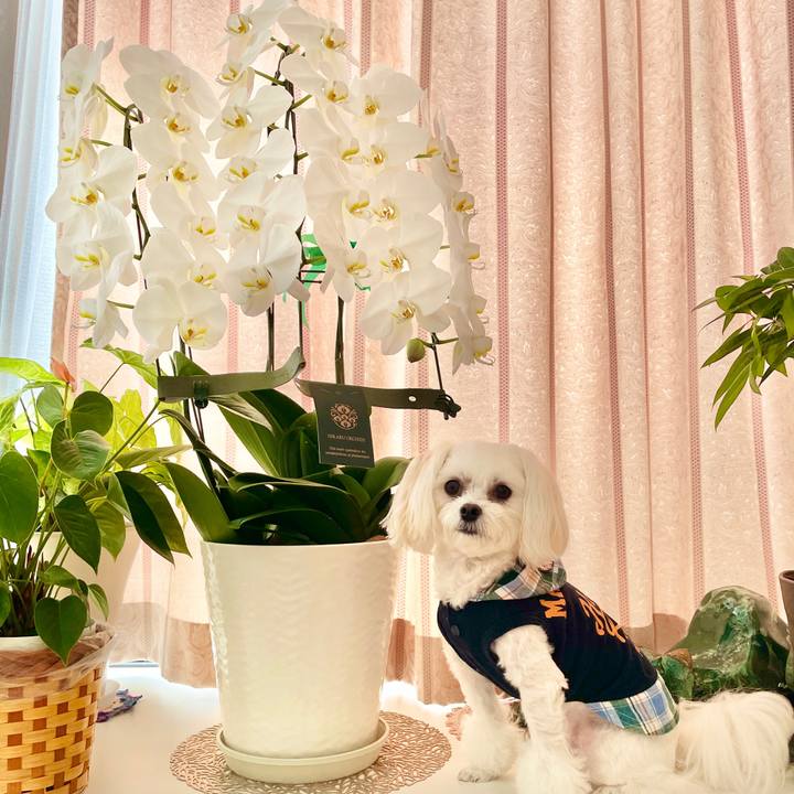 946f1f76 6777 4773 9bc3 2d606d2e4ec7 1635742541109