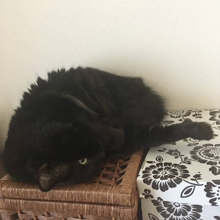 946f6b8a 5021 4d69 9faa c24e828b494d 1529882183515