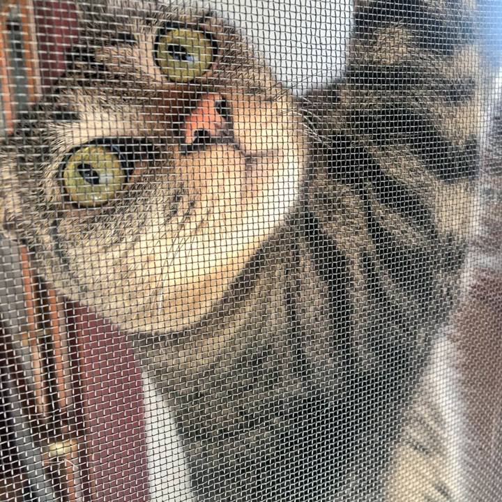 946f94af 168f 424f b175 3e77a3acd3bb 1522030698983