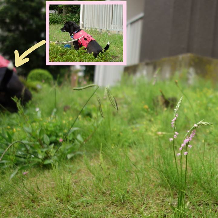 946f9936 1c0e 4c55 9e4b 4bdc70b265ed 1685409319075