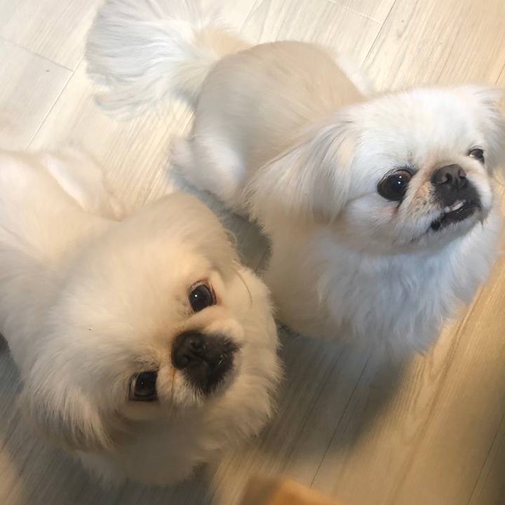 946f9b09 2905 4161 86af 411f508c795c 1543392454773