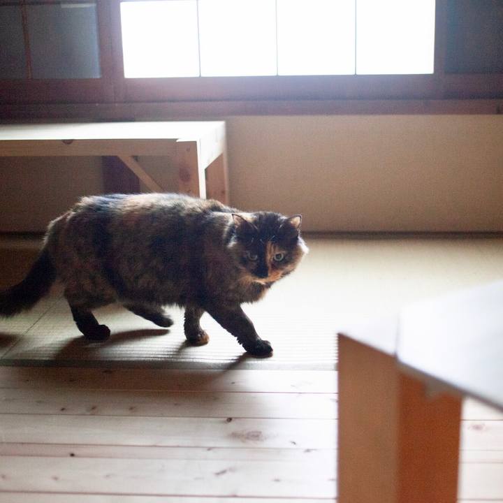 946fce28 8bdb 48f0 a2d1 69dd1fcecb5f 1578357893840