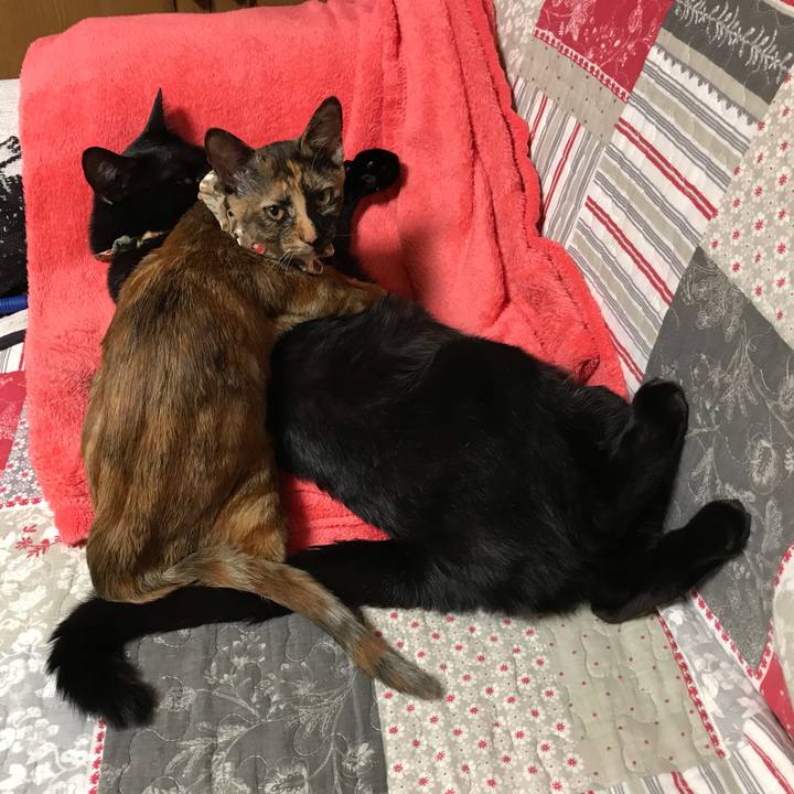 94702987 a43b 428e aa58 5e4d6d2a6d69 1606040524702