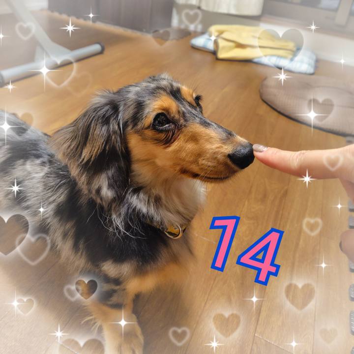 9470460f eb86 4ca3 9789 4912c461fe4c 1726481150066