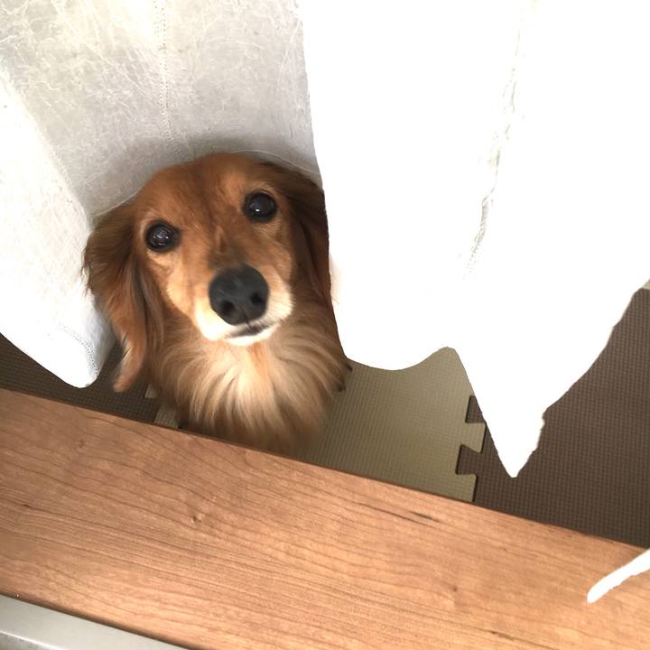 94704ef3 231e 482a 87eb f8334f8243a3 1588843139651