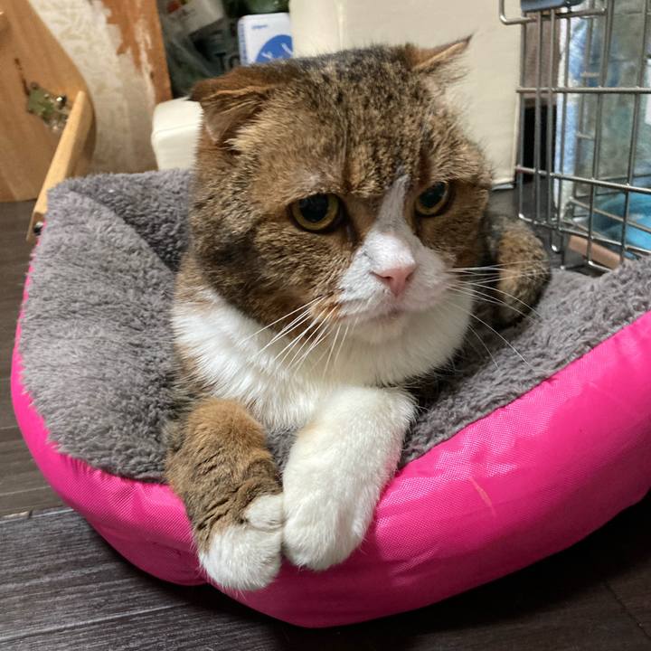 947052b0 9528 4fd2 8e86 38b8ffa8d6c9 1685697226243