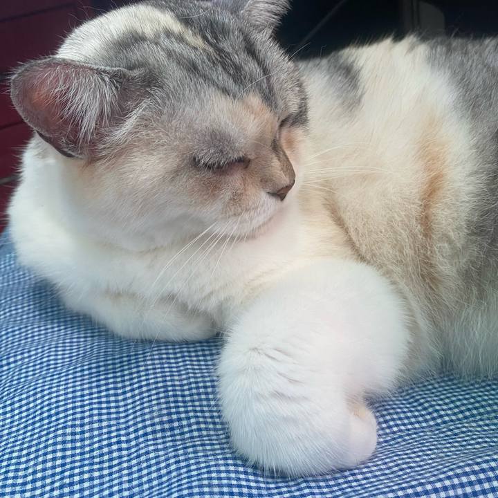 947081ae bad4 40cd 826c 153c0ba7097e 1753056955662