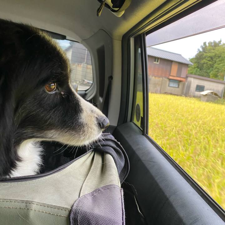 947095fb 1aec 45f2 81b0 2616c306dc2a 1665007447945