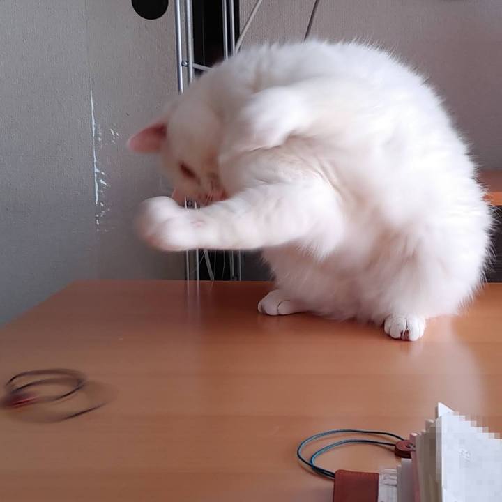 9470b5d6 50d7 4088 9902 a7d2d0c092c6 1649384308281