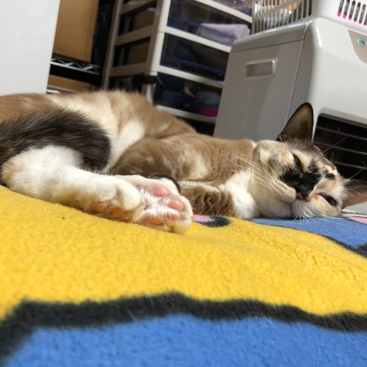 9470ca7e 97f9 409b b3da 21c5d0443e59 1774541370230