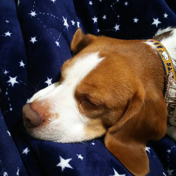 9470cb16 d19d 4862 a37b b7844724c8de 1579274076161