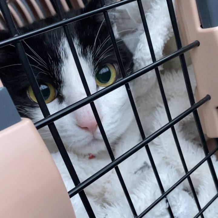 94712a24 3fe4 4732 aa8e 310b91a375ab 1672277309538