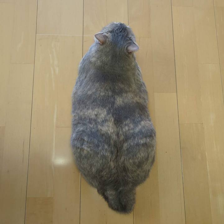 94716822 5c5f 45b3 993c 8f65412d08aa 1691041727873