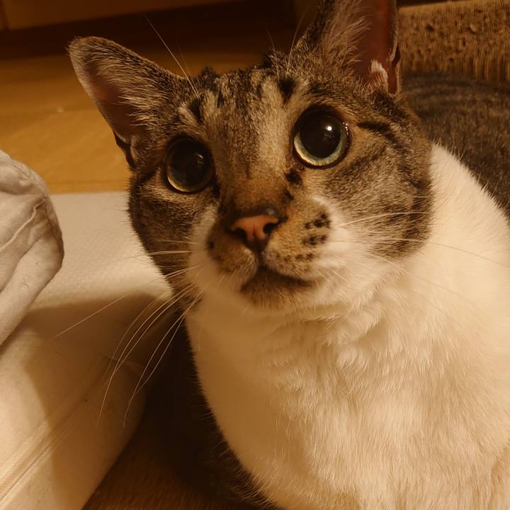 94717a53 6353 4488 8305 041e8cf7282c 1659263652897