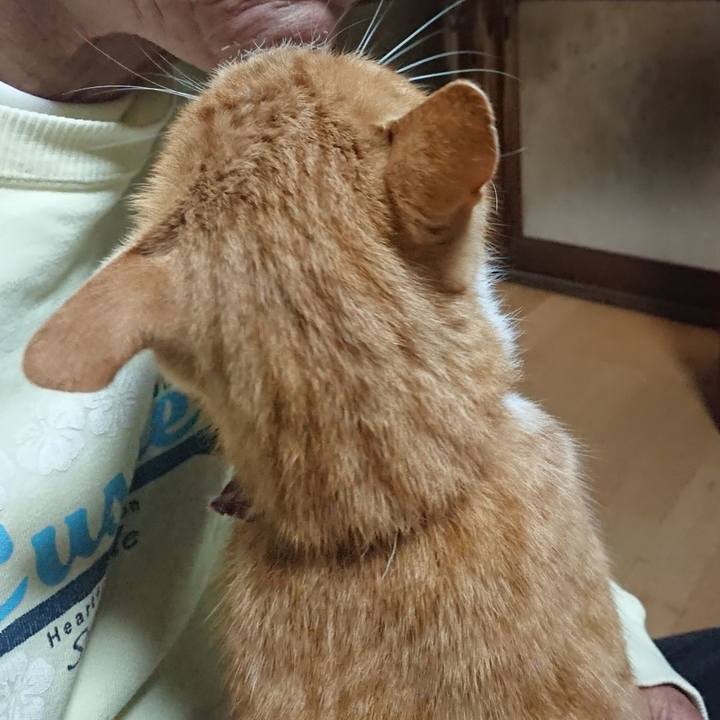 94717ad6 57a9 4b64 81c0 caae7e47cc57 1603136860922