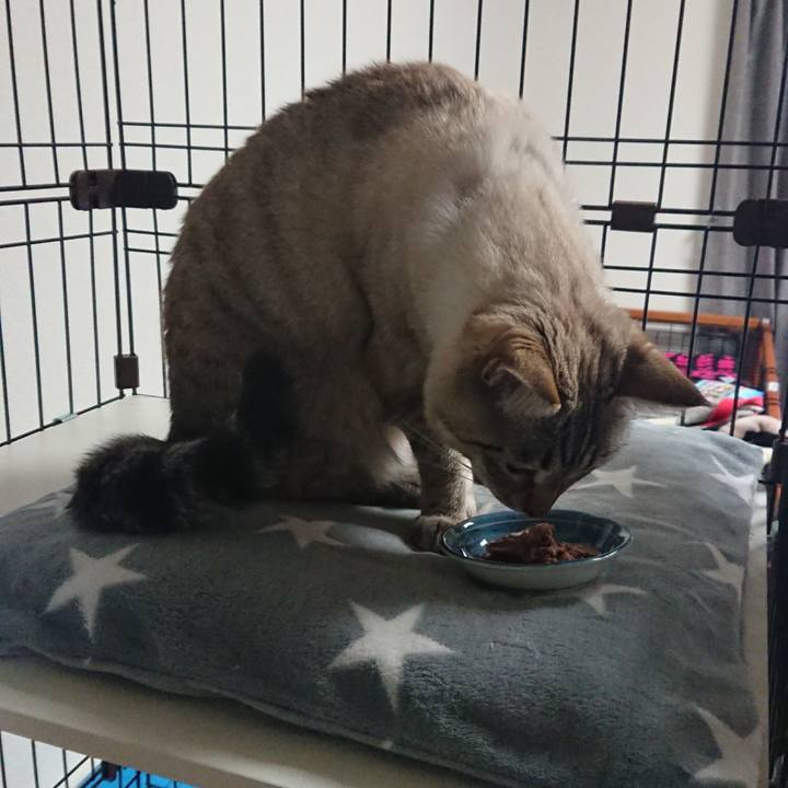 9471837e b013 41e0 8ab5 8c21124321fe 1518785378484