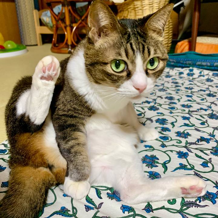 94718c99 2be4 4d7f 8d7d 29e708b158ab 1611403597437