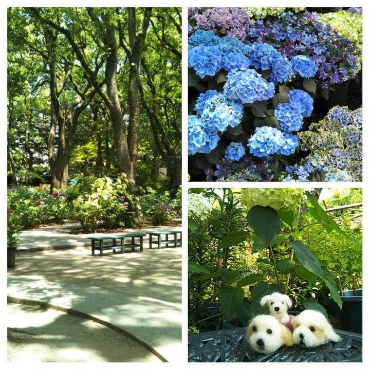 9471a797 39b4 4cdf ba95 319d0e4bbc15 1561469258953