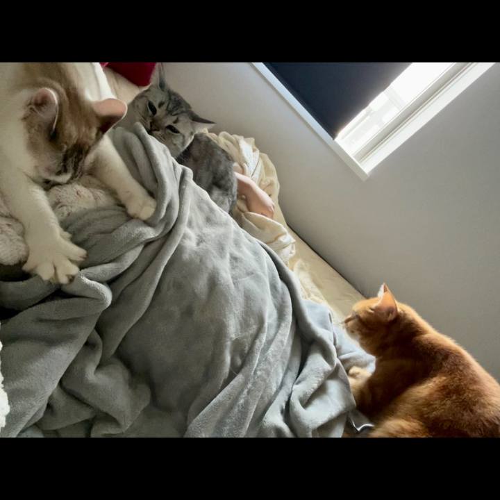 9471b628 9ef1 4d37 aaf3 35652fc092ac 1698705690520