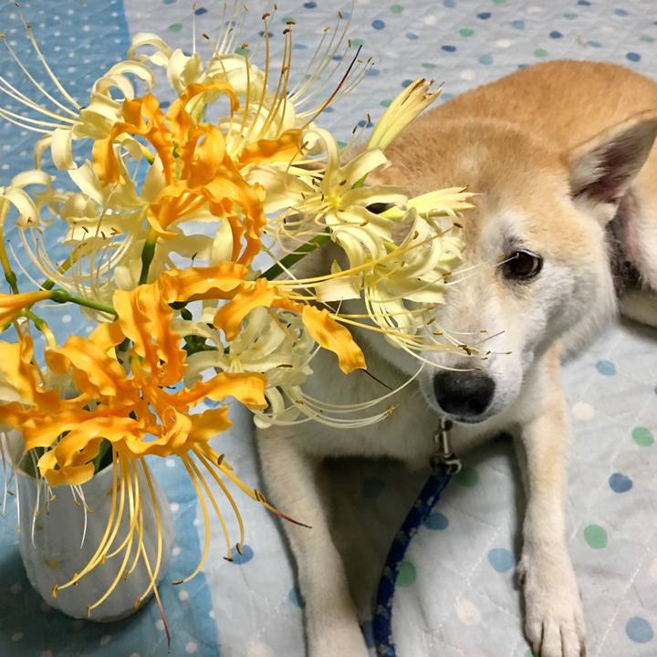 9471c4df 304d 482e 9911 44e3d4dc5a10 1537883561207