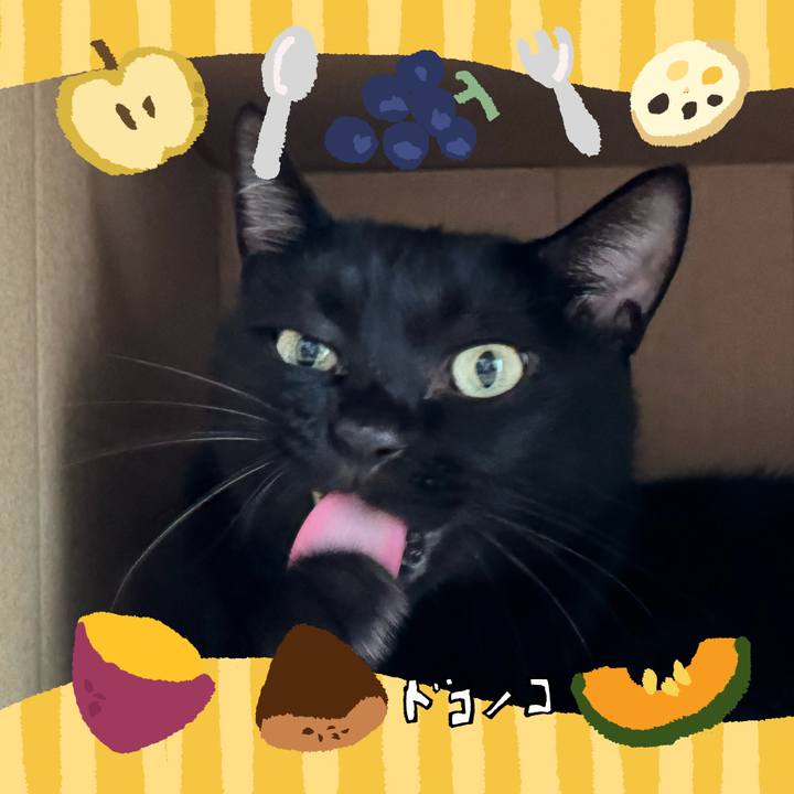 9471d4c3 cbe3 4c64 bd7d d7d8b56ba593 1727007135984