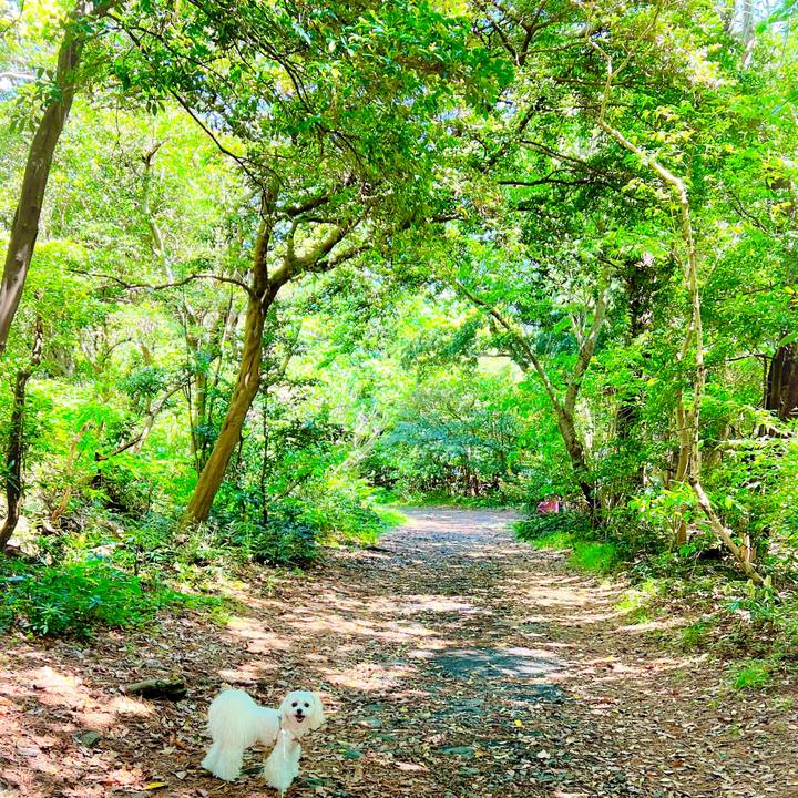 9471f25b 7b6b 42cb a102 fd4cda238165 1681704000203