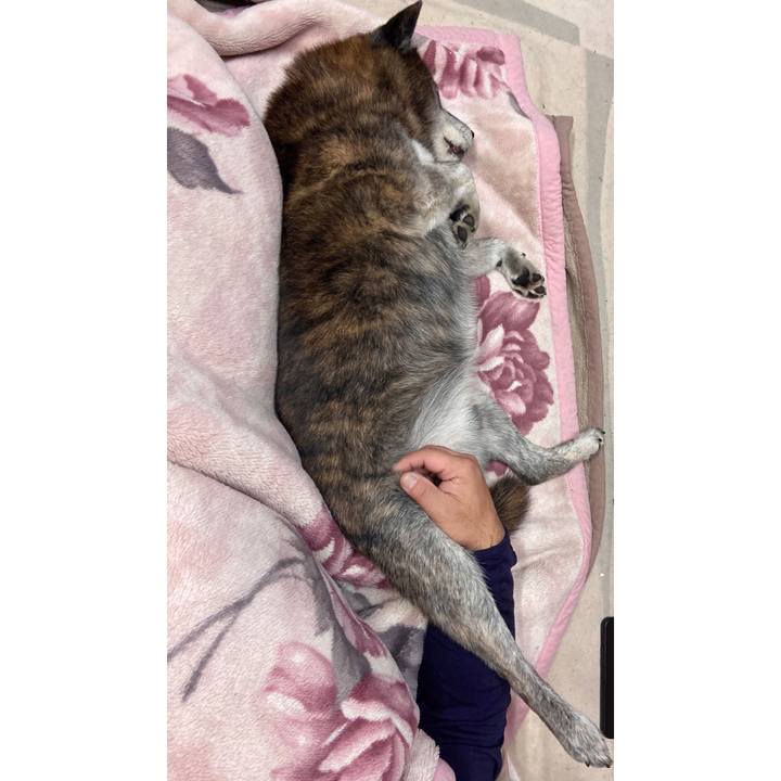 9471f7ce 5c10 4c64 94f4 c52b6828bcc8 1704166801279